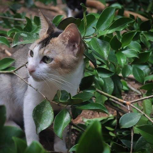 Photo #10935369