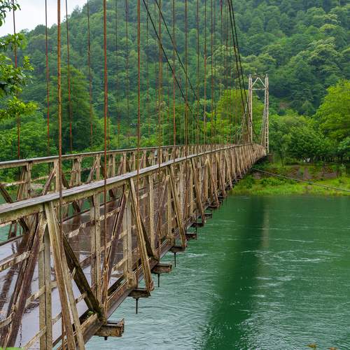 Photo #10935384