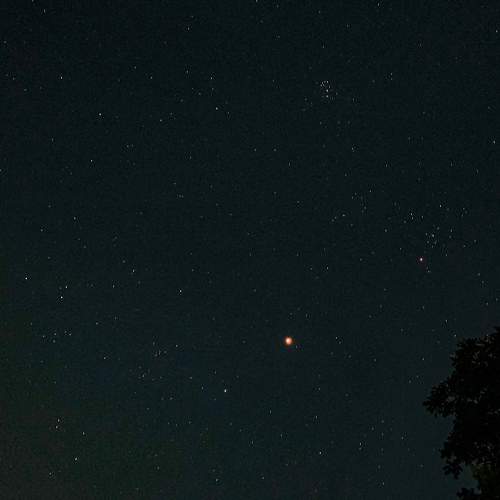 Photo #10935593