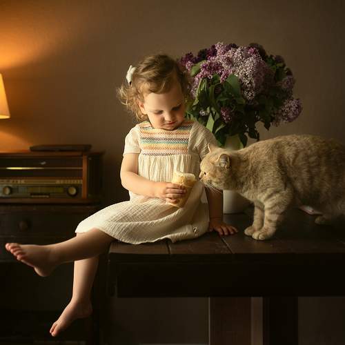 Фотография #10935612