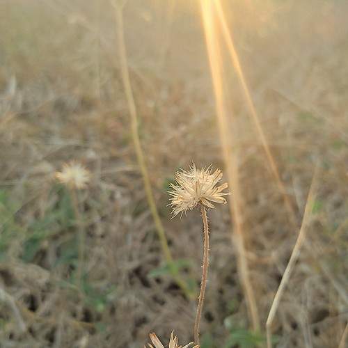 Photo #10936056