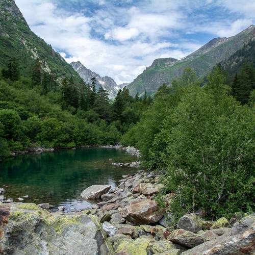Photo #10936143