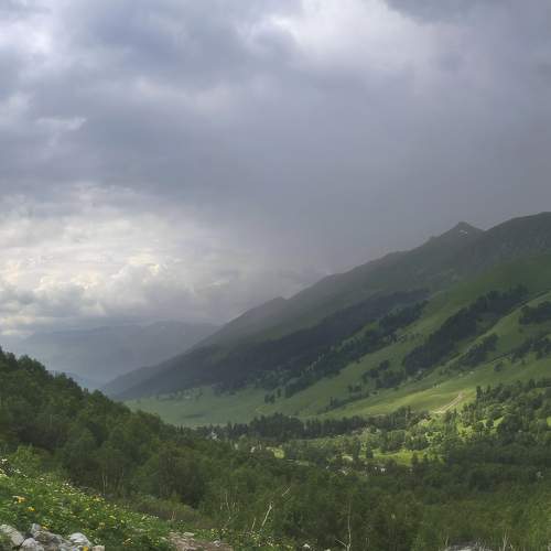 Photo #10936787