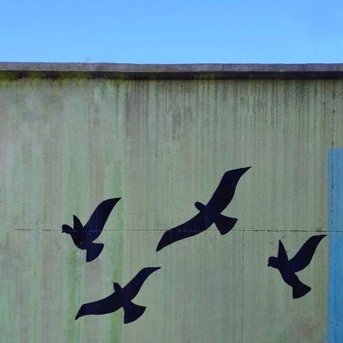 Photo #10936807