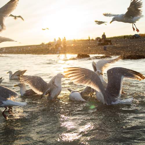 Photo #10937717