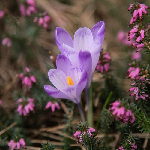 Photo #10938089