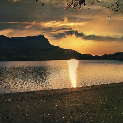 Photo #10938240