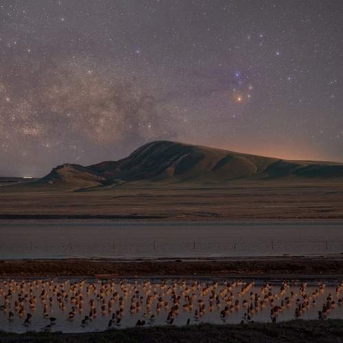 Фотография #10938407