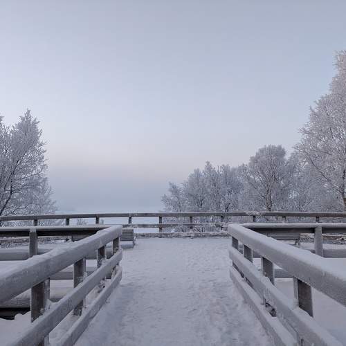 Photo #10939158