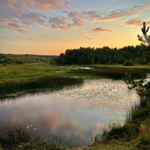 Photo #10939490