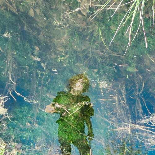 Photo #10939517
