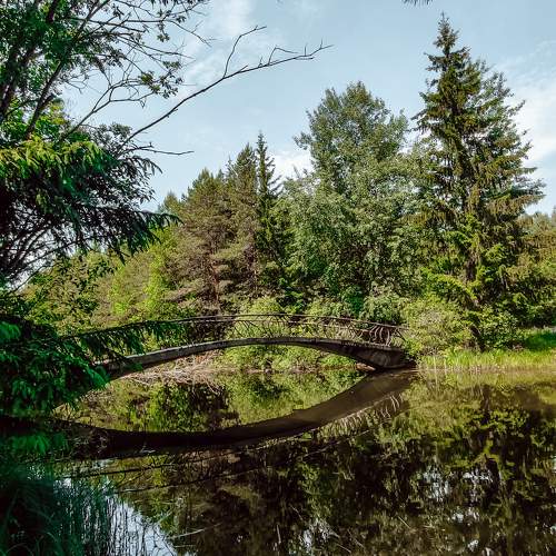 Photo #10939612