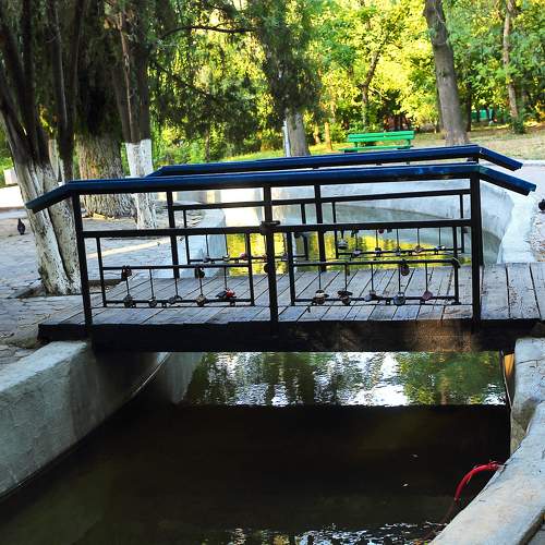 Photo #10939659