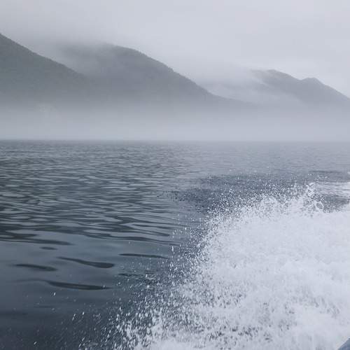 Photo #10939685