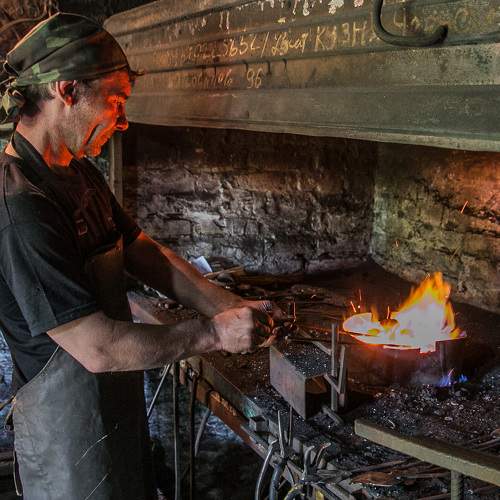 Photo #10940650