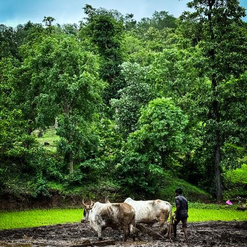Photo #10941547