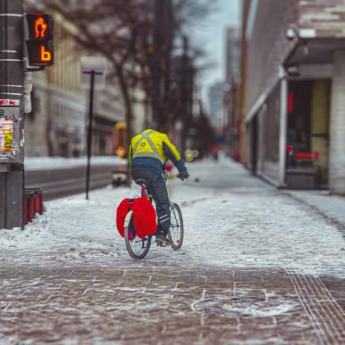 Winter Morning