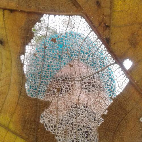 Photo #10942098