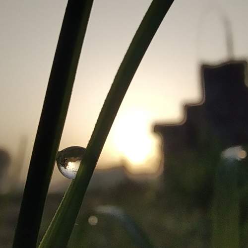 Photo #10942109