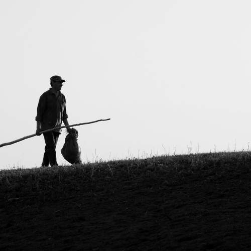 Photo #10943545