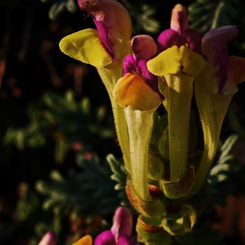 Photo #10943736