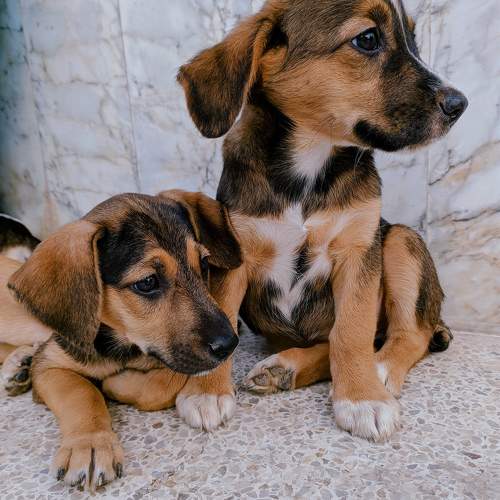 Photo #10943897