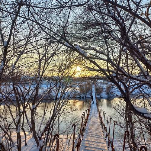 Photo #10944420