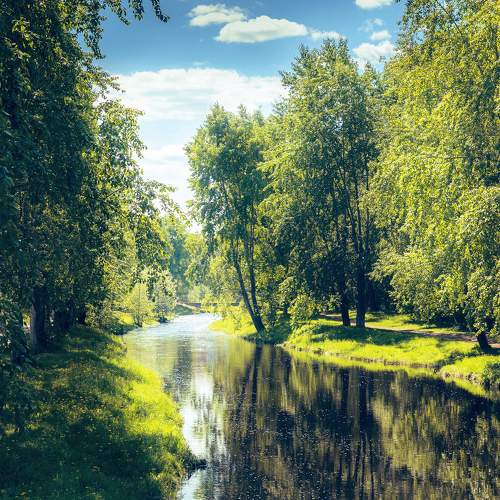 Photo #10944540