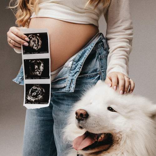 Photo #10944750