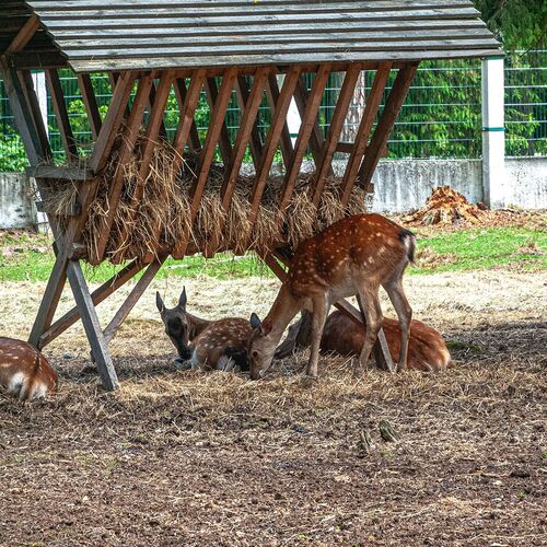 Photo #10944845