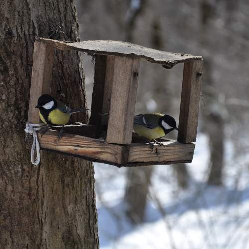 Photo #10945566