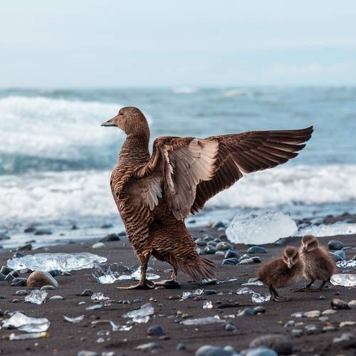 Photo #10945596