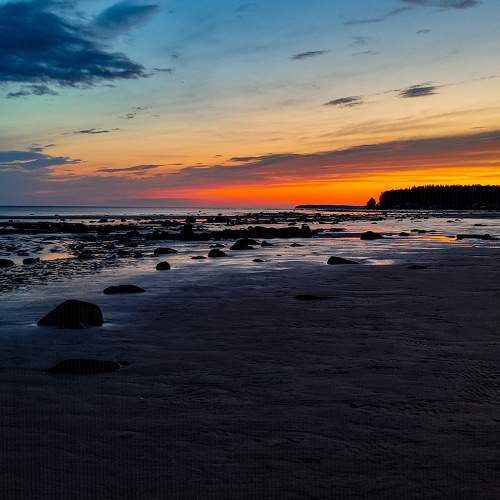 Photo #10945669