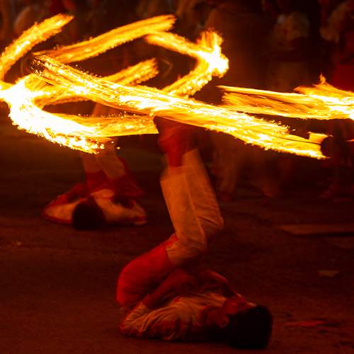 Photo #10946192