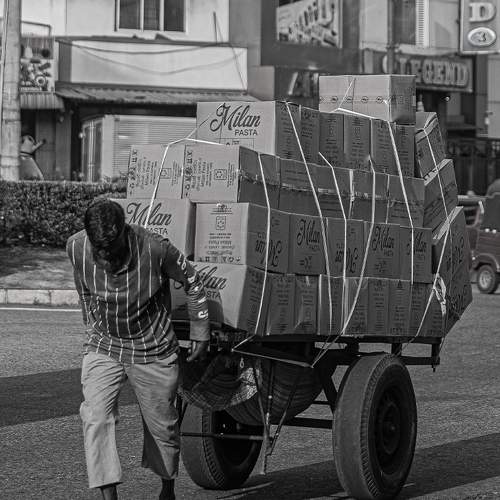 Photo #10946205