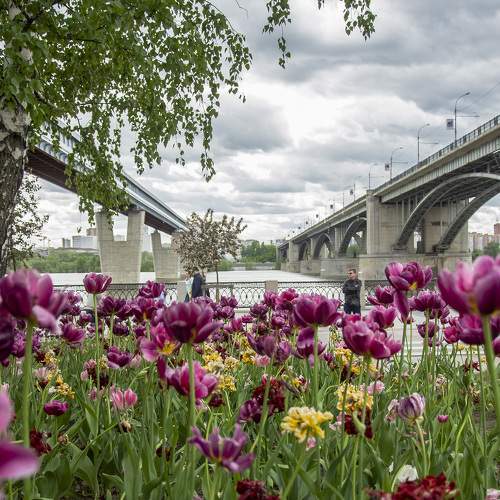 Фотография #10946281