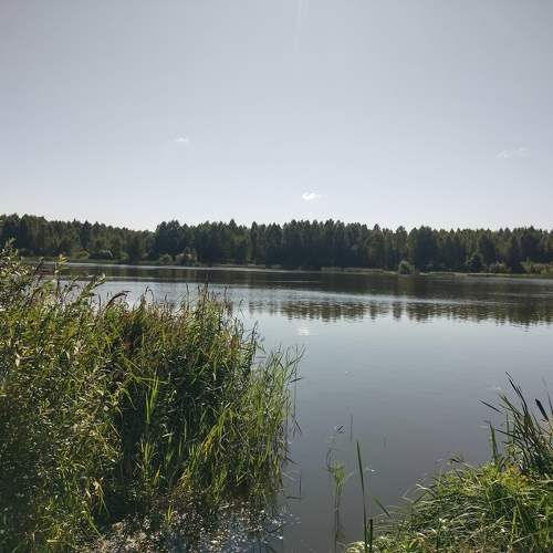 Photo #10946355