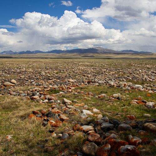 Photo #10946467