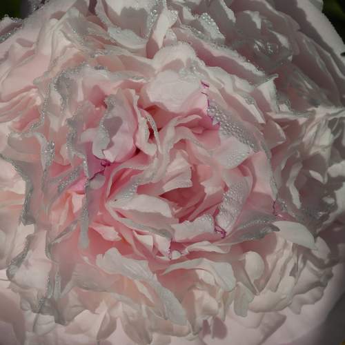 Photo #10946574
