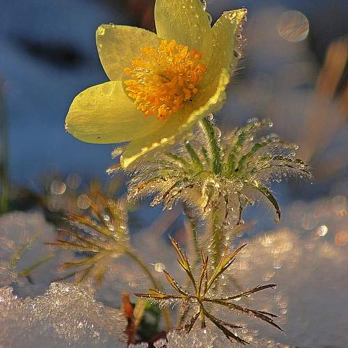 Photo #10946584