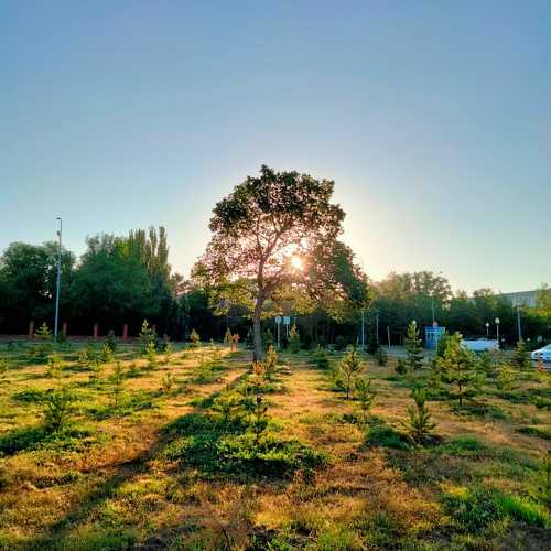 Photo #10947530