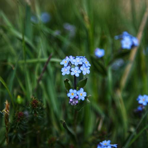 Photo #10947896