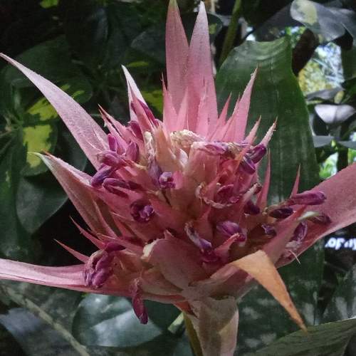 Photo #10949220