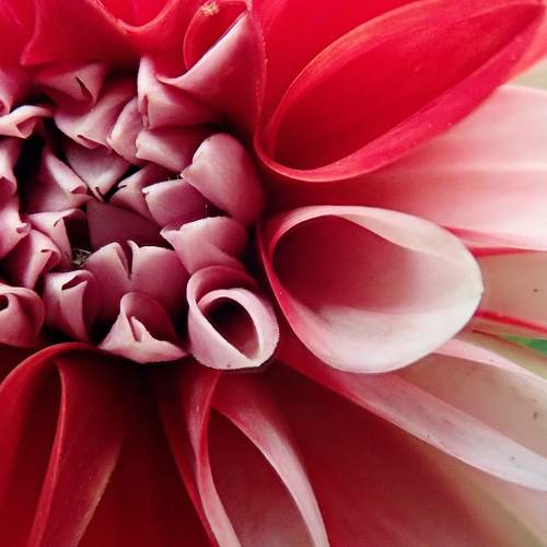 Photo #10949418