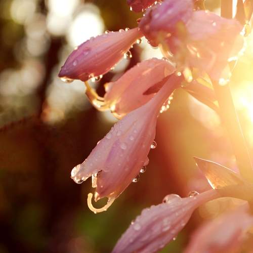 Photo #10949444