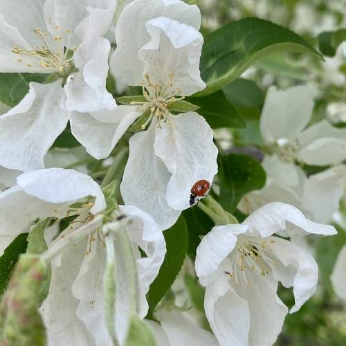Photo #10949706