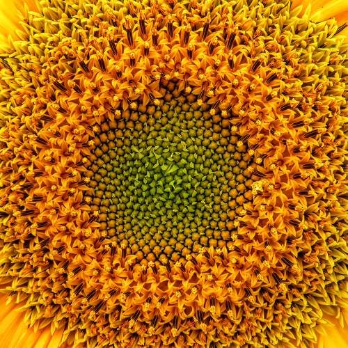 Photo #10949715