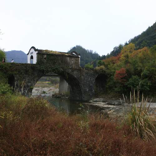 Photo #10949884