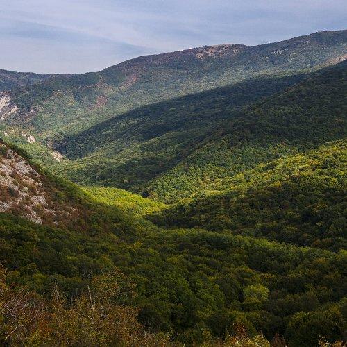 Крымский ковёр.
