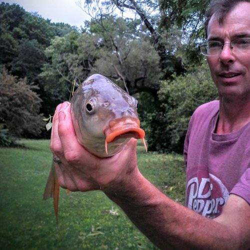 Grandpa Carp